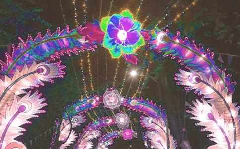 第一次制作梅花灯笼四年级作文