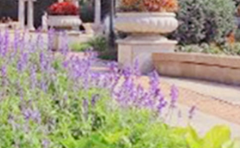 初中扬州体育公园作文