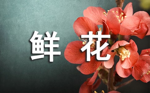 超越鲜花作文