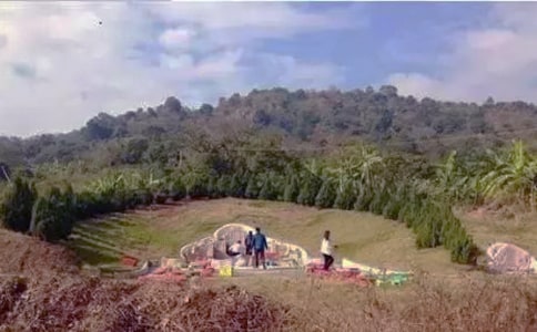 文明扫墓四年级作文