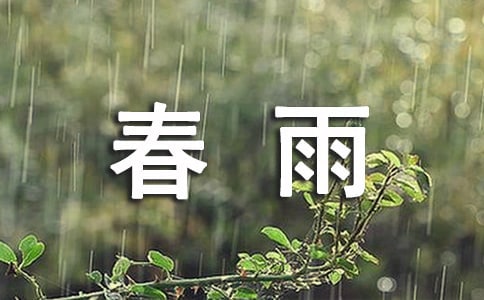 美丽的春雨作文350字
