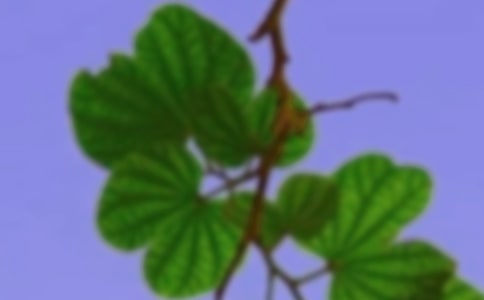 魅力世园和谐陕西三年级作文