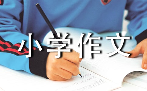 我是园丁的收获小学作文