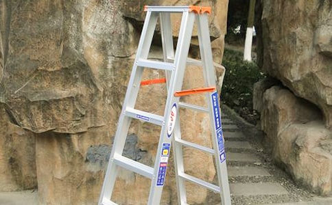 梦想的梯子作文