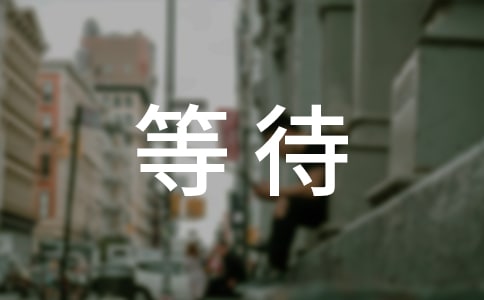 等待的作文600字