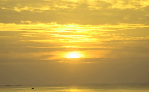 第一次看日出作文