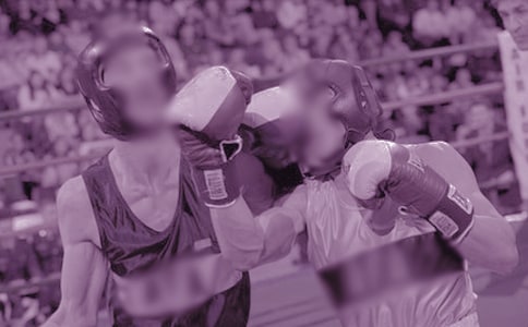 鳄鱼与狗打架作文