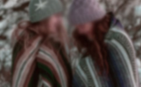 姊妹鸟初中生优秀作文