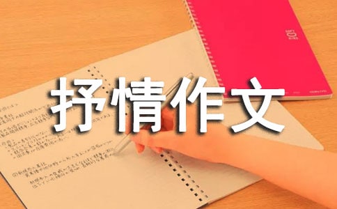 新编龟兔赛跑想象抒情作文