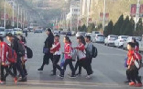 我家的.加菲猫小学生作文