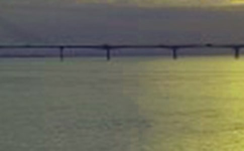 美丽的长江小学作文