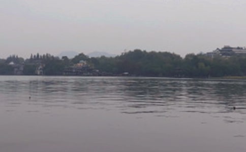 西湖的春美的作文