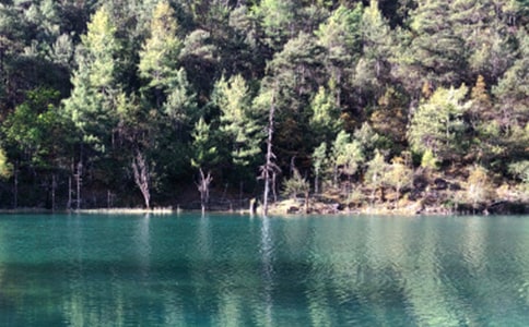 美丽江城的`变化作文