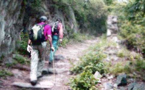 爬山的启示小学作文