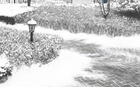 冬季阳光初中作文