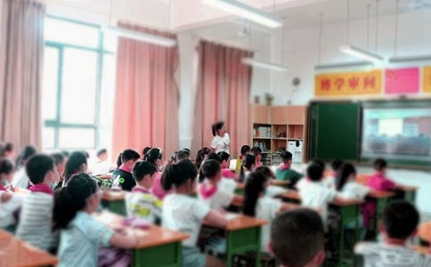 快乐的校外教学小学作文