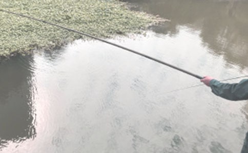 小猫钓鱼三年级作文