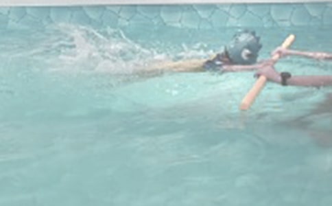 第一次去塔湾游泳馆游泳作文