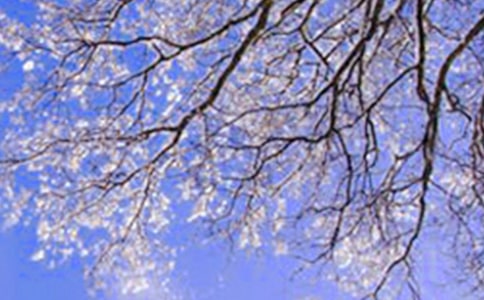 阿谁冬天很暖和的高中作文