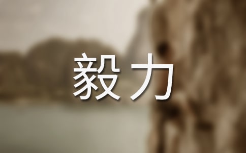 毅力创造人生作文500字