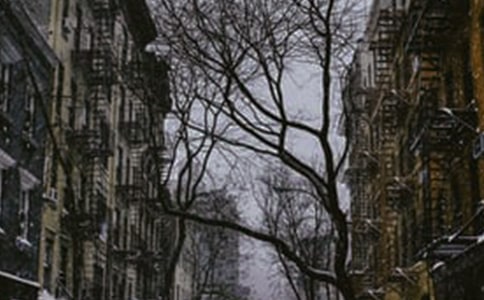 冬天的雪景作文集合15篇