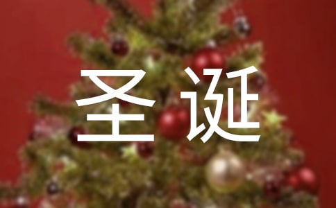  美丽的圣诞节三年级叙事作文250字
