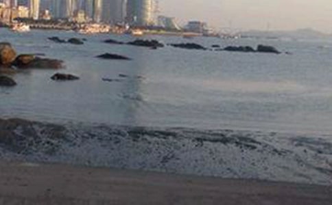 写厦门鼓浪屿优秀作文