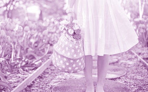 牵牛花和蔷薇花童话作文