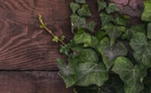 和谐的.美六年级作文