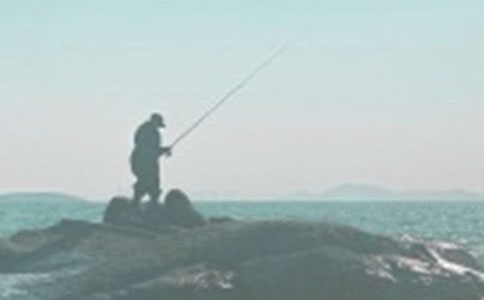 小学生钓鱼趣事作文400字