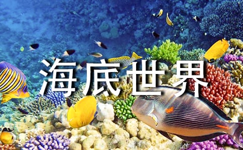 厦门的海底世界初中作文