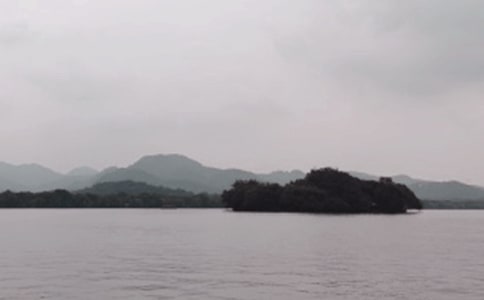 与众不同的西湖三年级作文