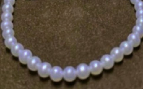 珍珠豆豆小学生写人作文