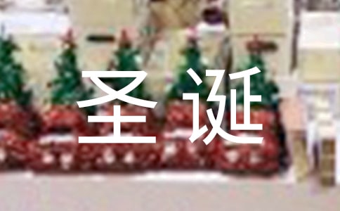 圣诞节作文250字