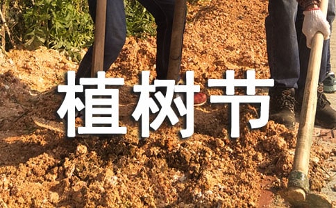 森林里的植树节作文