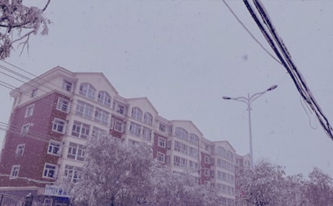 冬日的阳光行动小学作文