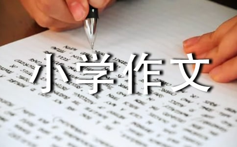 我第一次独自回家小学作文