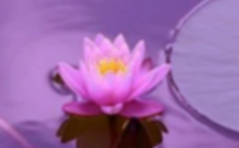 和谐的1304班二年级作文