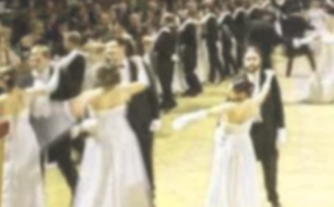 春天的舞会作文550字