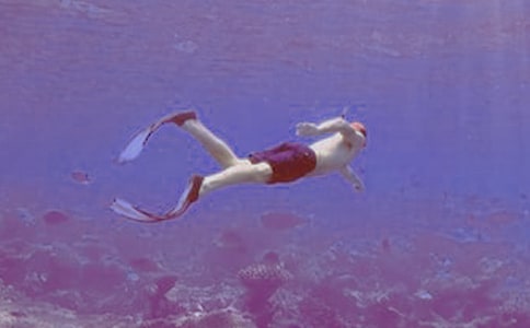 我的海南之行之第一次潜水作文