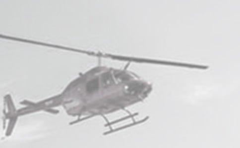 龟兔比赛开直升飞机的作文400字