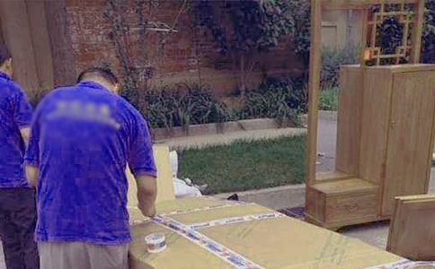 给兰花搬家作文