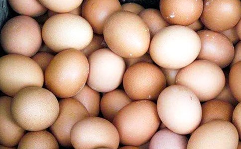 第一次摊鸡蛋饼作文