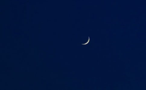 抓月亮作文550字