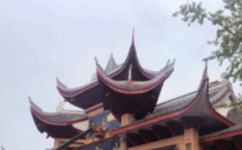 游峨眉山小学作文