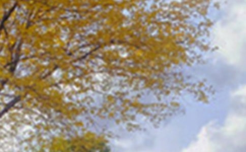 四季景色高中作文