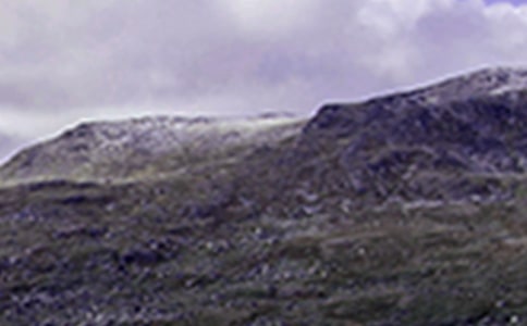 冬日爬山五年级作文