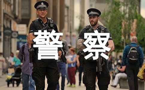 猫警察抓老鼠小偷二年级作文