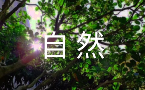 奇妙的大自然作文450字