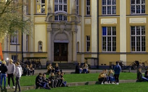 河南大学生闫某作文